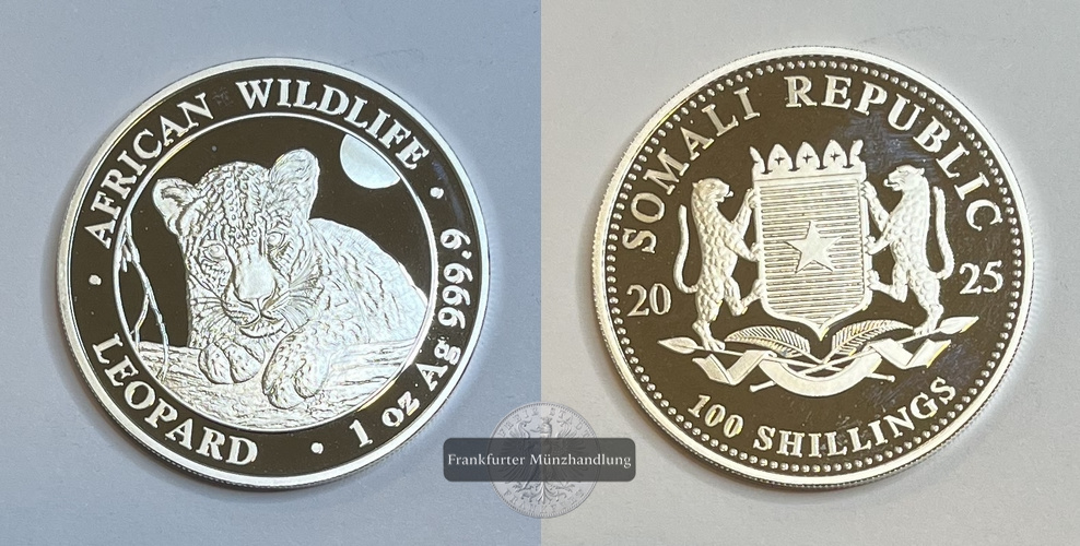  Somalia  100 Schilling 2025 African Wildlife Leopard FM-Frankfurt  Feinsilber: 31,1g   