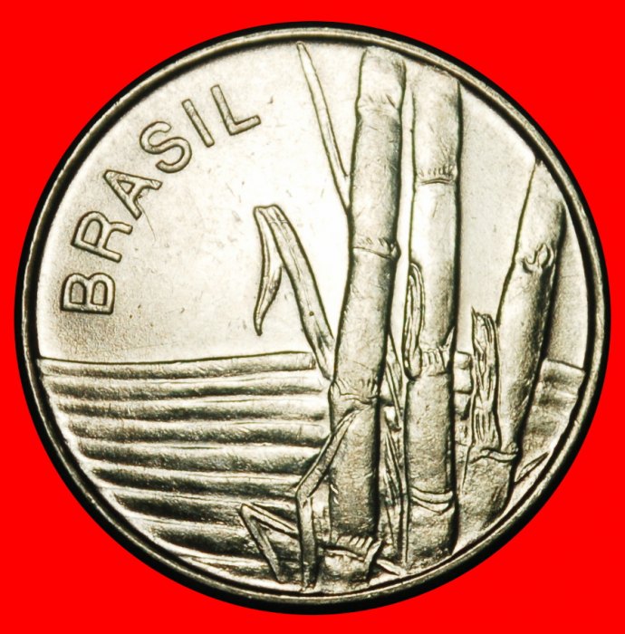  Ⰺ SUGARCANE (1979-1984): BRAZIL ★ 1 CRUZEIRO 1981! ★LOW START ★ NO RESERVE!   