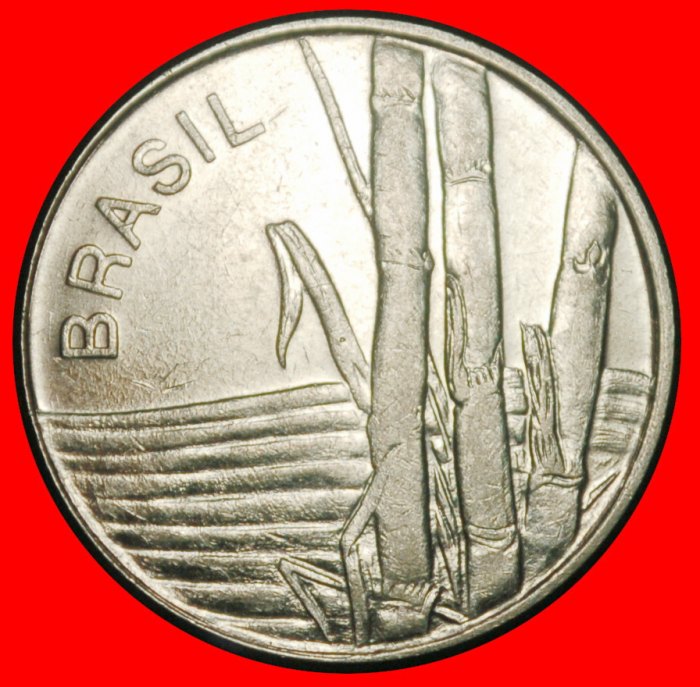 Ⰺ SUGARCANE (1979-1984): BRAZIL ★ 1 CRUZEIRO 1979! ★LOW START ★ NO RESERVE!
