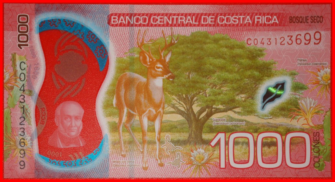  Ⰺ SWITZERLAND 2019: COSTA RICA ★ 1000 COLONES 2021! DEER! CARRILLO 1800-1845★LOW START ★ NO RESERVE!   