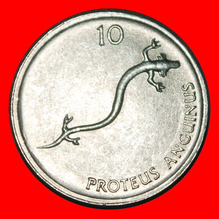 Ⰺ SALAMANDER (1992-2006):YUGOSLAVIA SLOVENIA★10 STOTINKAS 1993 UNC MINT LUSTRE★LOW START★NO RESERVE!
