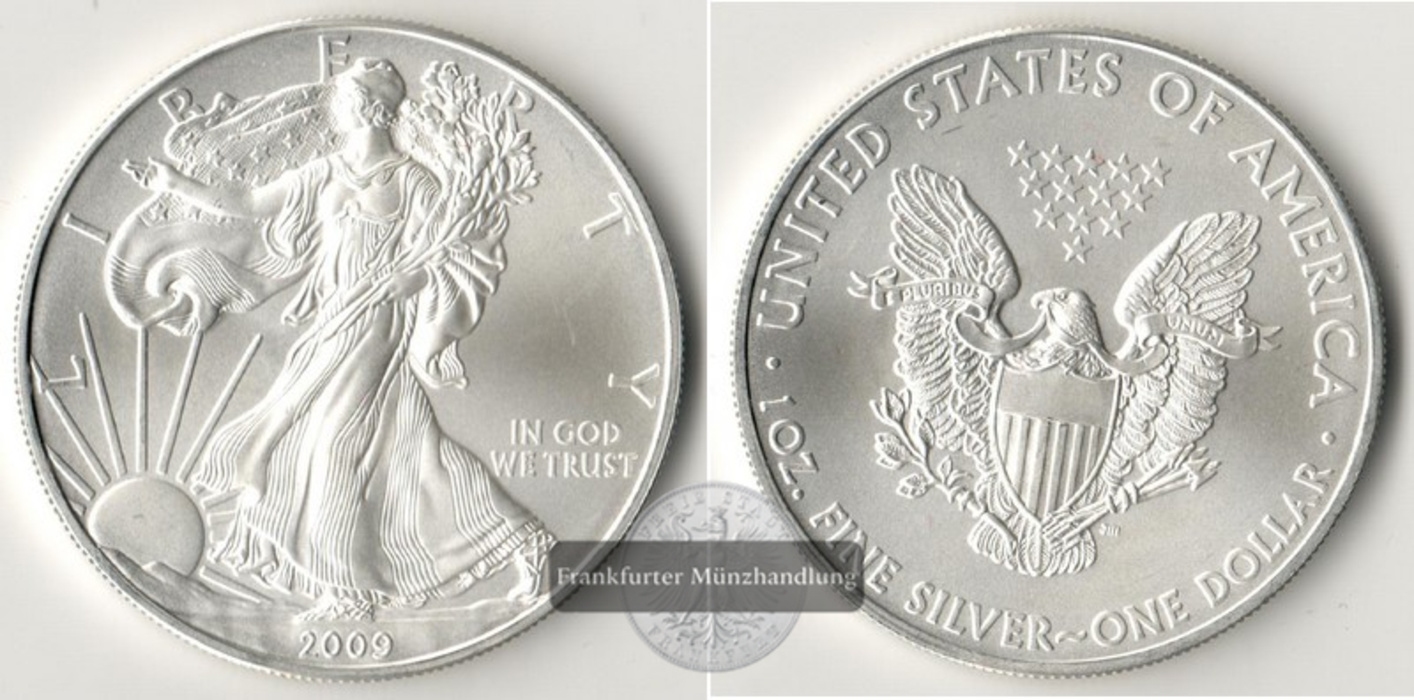  USA  1 Dollar   2009   American Eagle  FM-Frankfurt   Feinsilber: 31,1g   