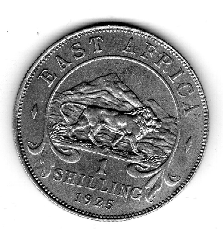  Britisch-Ostafrika, East Afrika 1 Shilling 1925 Silber 0,250 König Georg V. Löwe Rand vz   