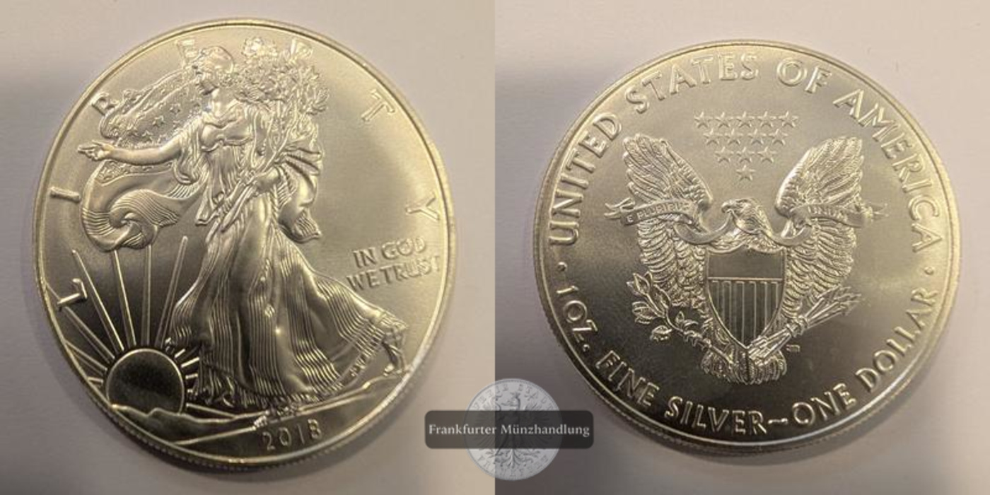  USA 1 Dollar 2018 Walking Liberty   KM#273 FM-Frankfurt Feinsilber: 31,1g   