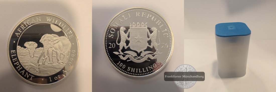  Somali 19x 100 Shillings (Elephant) 2026 FM- Frankfurt Feinsilber 590,9g   
