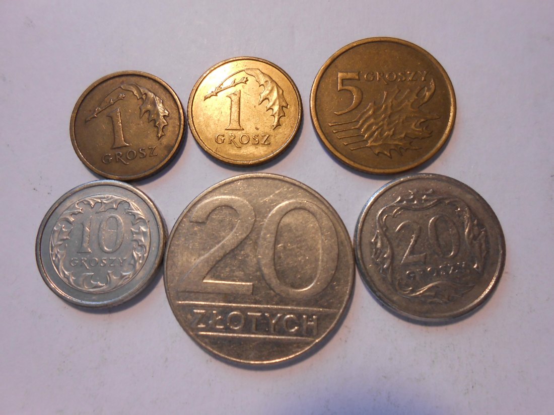 hn48 /Polen, 6er Lot, 1 Grosz 2002 2013, 5 Groszy 2002, 10 Groszy, 20 Groszy 2007, 20 Złotych 1989