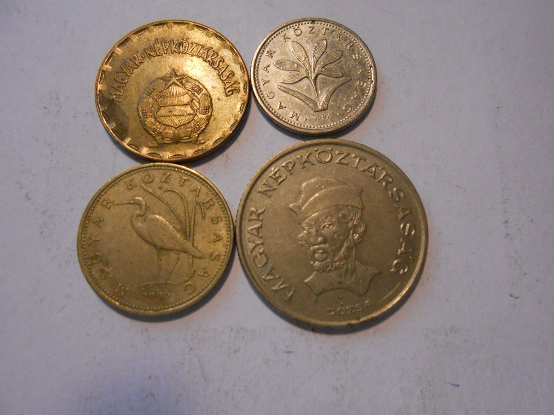  hn50 /Ungarn, 4er Lot, 2 Forint 1989, 2 Forint 1997, 5 Forint 2000 und 20 Forint 1984   