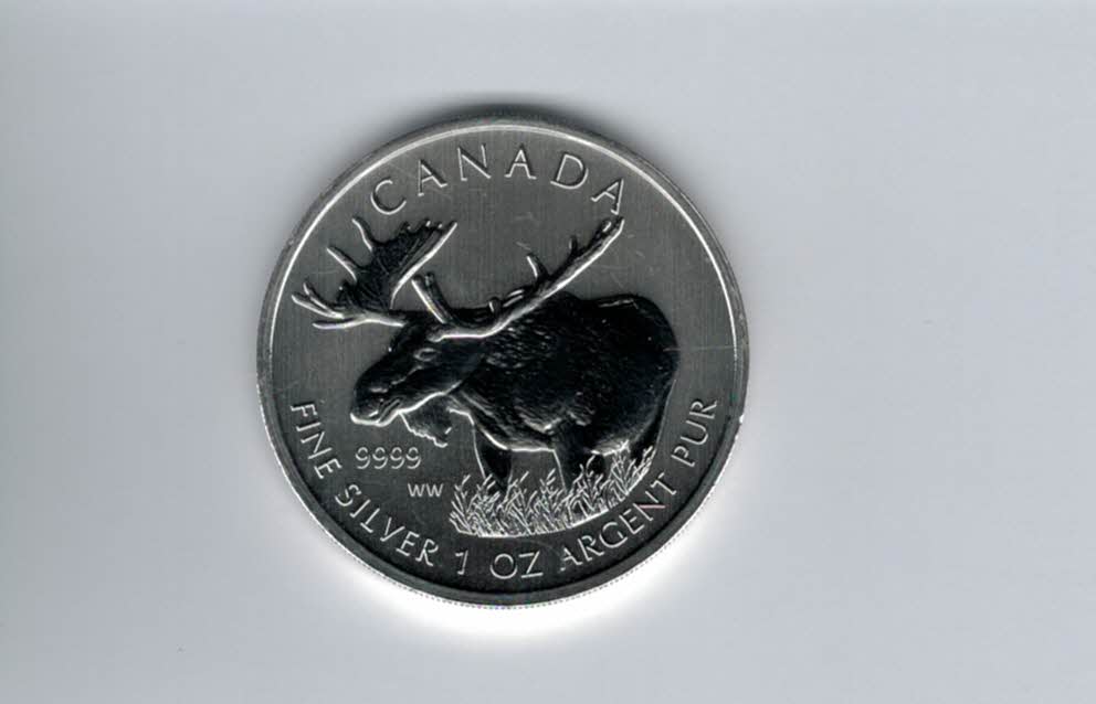  5 Dollars 2012 Elch Wildlife 1 Oz Unze Silbermünze 9999 Canada Kanada Spittalgold9800 (5455   