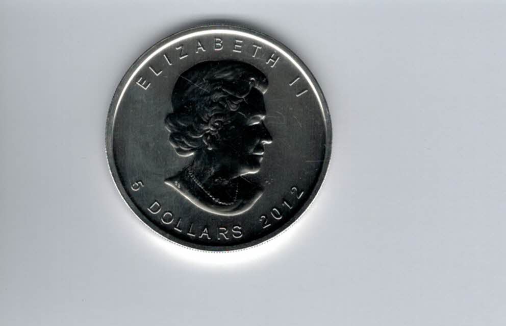  5 Dollars 2012 Elch Wildlife 1 Oz Unze Silbermünze 9999 Canada Kanada Spittalgold9800 (5455   