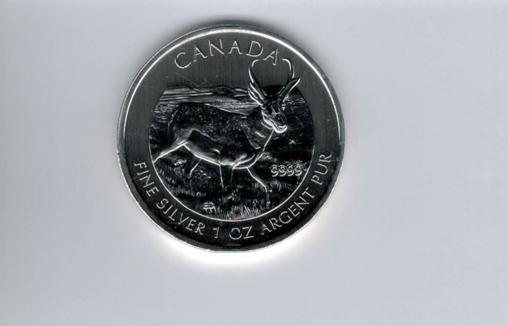  5 Dollars 2013 Antilope 1 Oz Unze Silbermünze 9999 Canada Kanada Spittalgold9800 (5455   