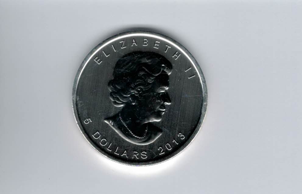  5 Dollars 2013 Antilope 1 Oz Unze Silbermünze 9999 Canada Kanada Spittalgold9800 (5455   