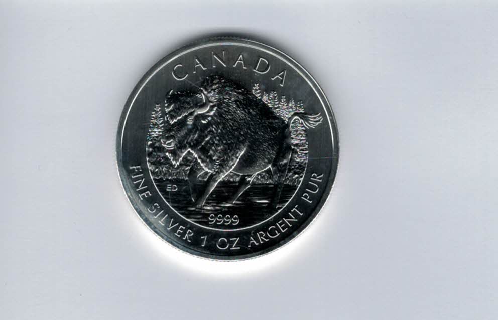  5 Dollars 2013 Bison 1 Oz Unze Silbermünze 9999 Canada Kanada Spittalgold9800 (5455   
