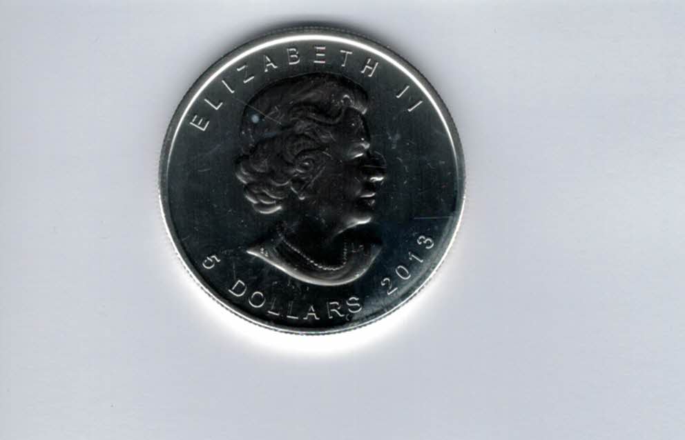  5 Dollars 2013 Bison 1 Oz Unze Silbermünze 9999 Canada Kanada Spittalgold9800 (5455   