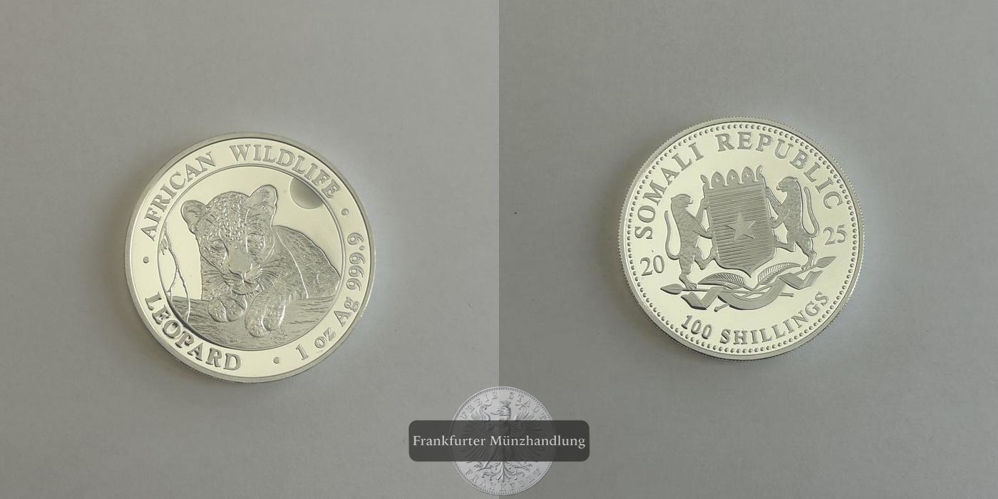  Somalia  100 Schilling 2025 African Wildlife Leopard FM-Frankfurt KM#464 Feinsilber: 31,1g   