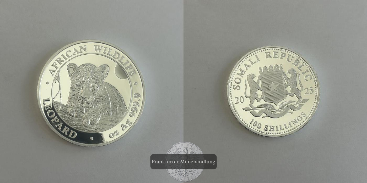  Somalia  100 Schilling 2025 African Wildlife Leopard FM-Frankfurt KM#464 Feinsilber: 31,1g   