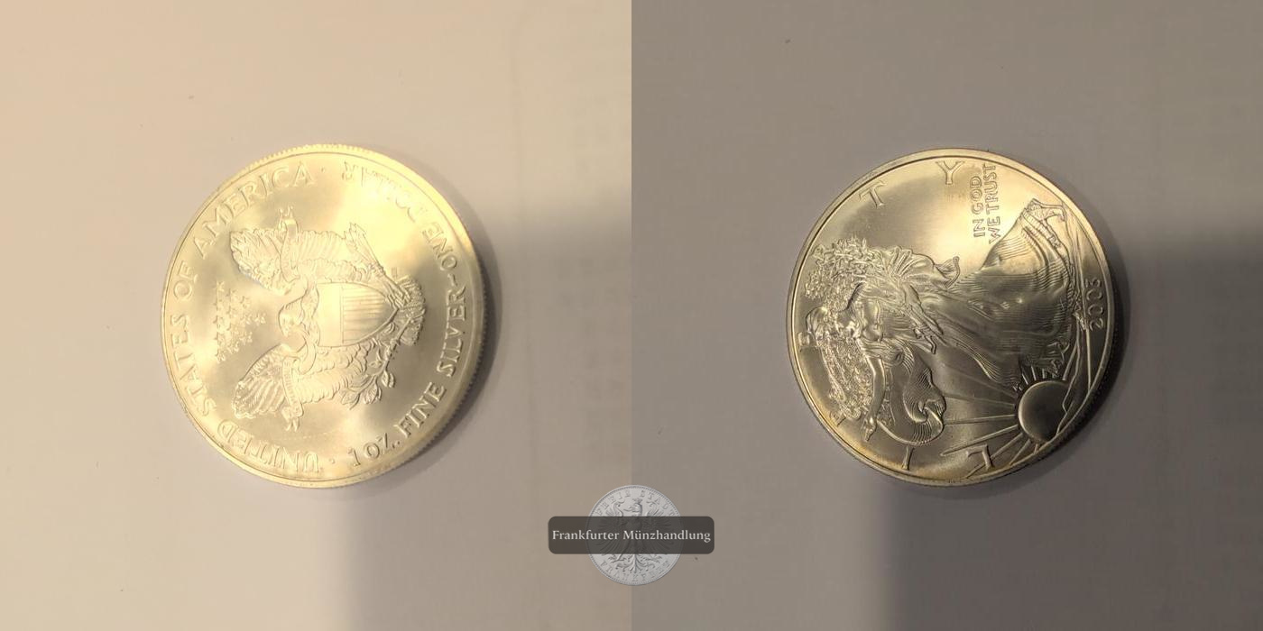  USA 1 Dollar 2003 Walking Liberty FM-Frankfurt KM#273 Feinsilber: 31,1g   