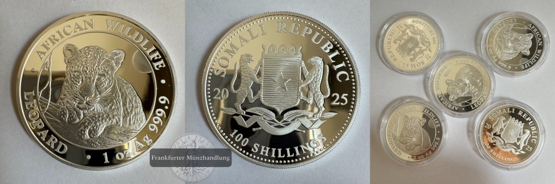  Somalia 5x100 Schilling 2025 African Wildlife Leopard FM-Frankfurt  Feinsilber:5x31,1g=155g   