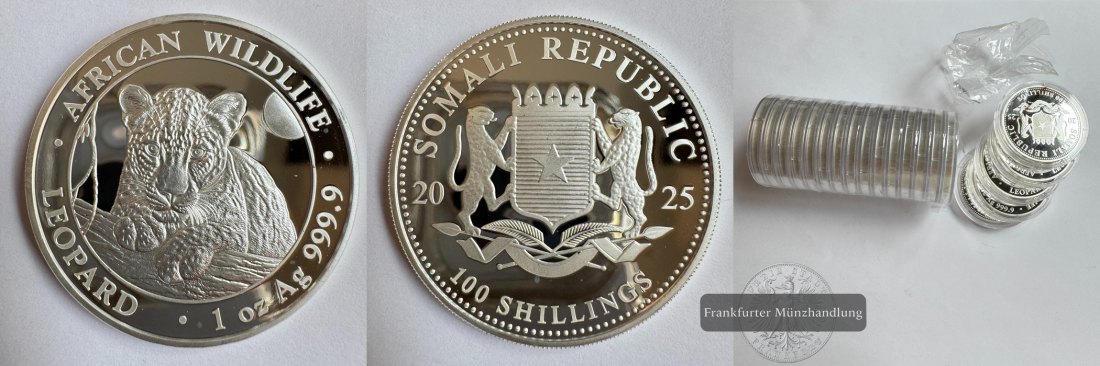  Somalia 20x 100 Shillings (Leopard) 2025 African Wildlife FM-Frankfurt KM#464 Feinsilber: 622g   
