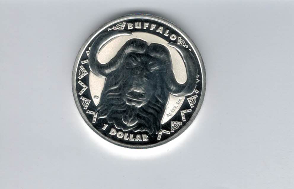 1 Dollar 2023 Buffalo Big five 1 Oz Unze Silbermünze 999 Sierra Leone Spittalgold9800 (5455   