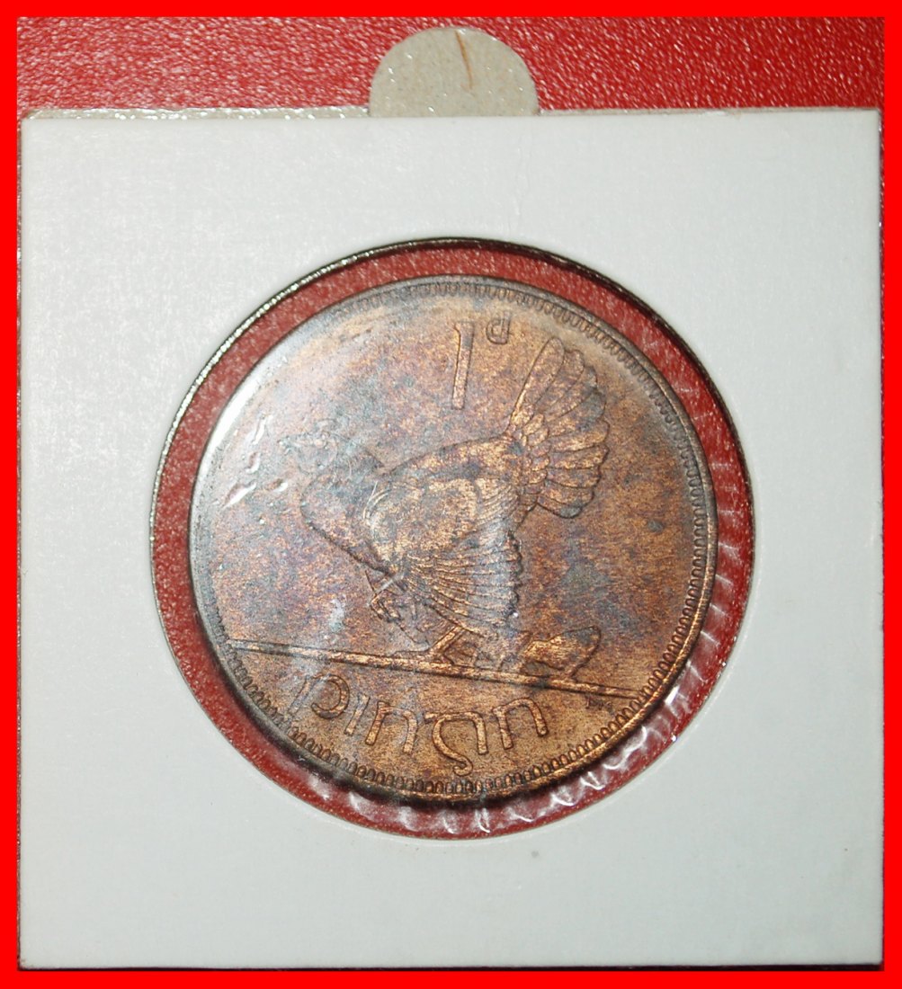  Ⰺ GREAT BRITAIN (1928-1937): IRELAND ★ 1 PENNY 1935 HEN & CHICKS UNC PATINA!★LOW START ★ NO RESERVE!   
