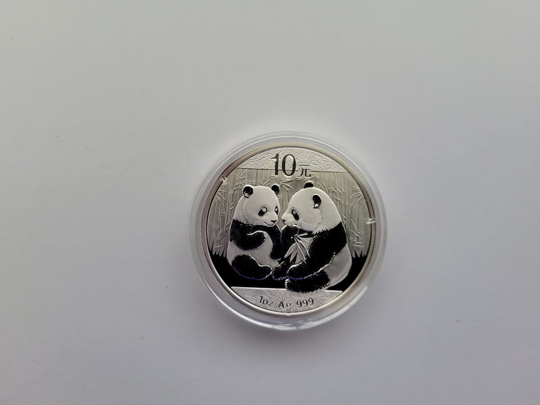  10 Yuan 2009 Panda Silbermünze 1 OZ 999 China Spittalgold9800 (5455   