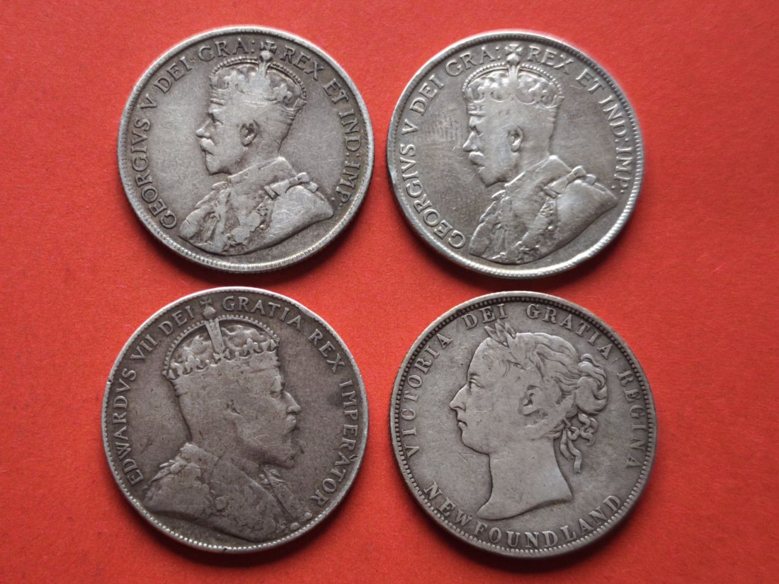  Kanada Neufundland 50 Cents Silber Lot (4 Stück) 1899 - 1919 Top   