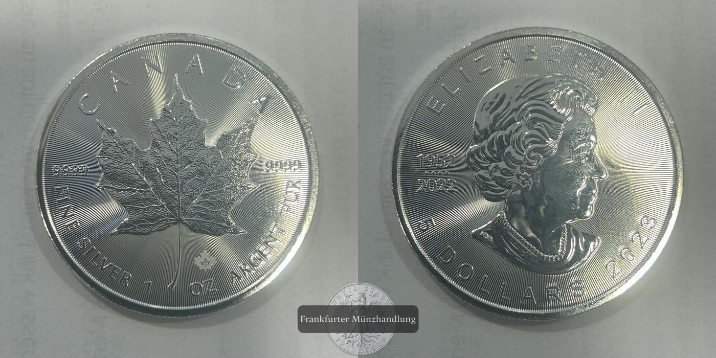  Kanada 5 Dollars (In the name of Elizabeth II) 2023 FM-Frankfurt Feinsilber: 31,107g   