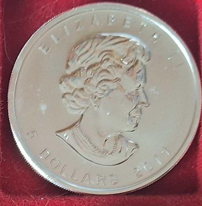  Kanada, 5 Dollar 2012 Elizabeth II 1oz Silber 999,9/1000 =31,1g fein   
