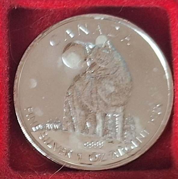  Kanada, 5 Dollar 2012 Elizabeth II 1oz Silber 999,9/1000 =31,1g fein   