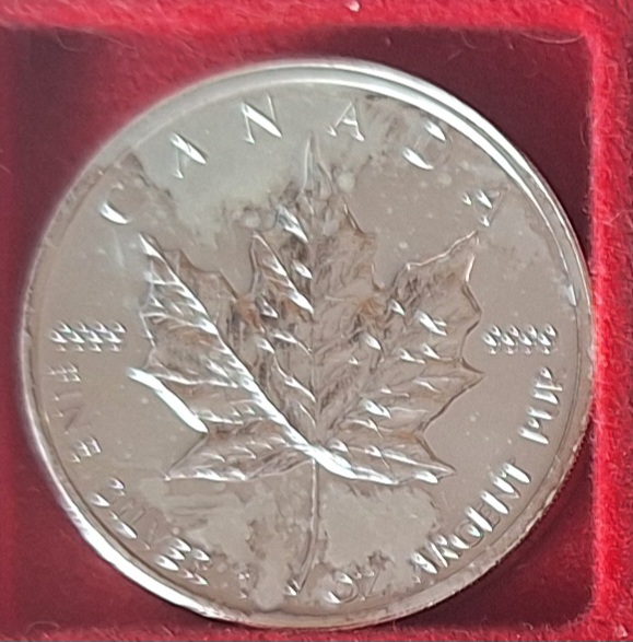  Kanada, 5 Dollar 2009 Elizabeth II MAPLE LEAF 1oz Silber 999,9/1000 =31,1g fein   