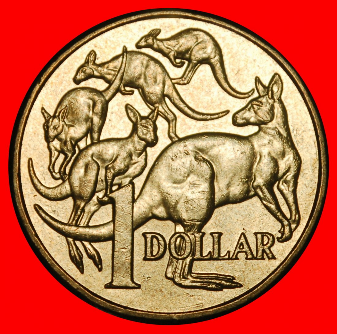  Ⰺ 5 KÄNGURUS (1984-2026): AUSTRALIEN ★ 1 DOLLAR 2024! STEMPEL VIII A!★OHNE VORBEHALT!   