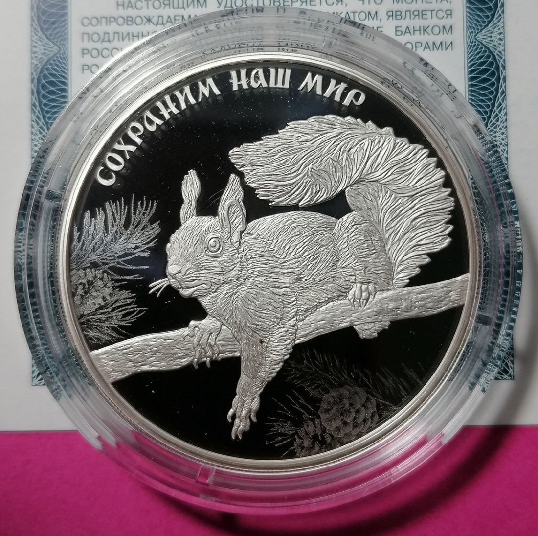 Russland 3 Rubel 2023 Silber - Eichhörnchen „Schützt unsere Welt“ 1 Oz Proof Defekt