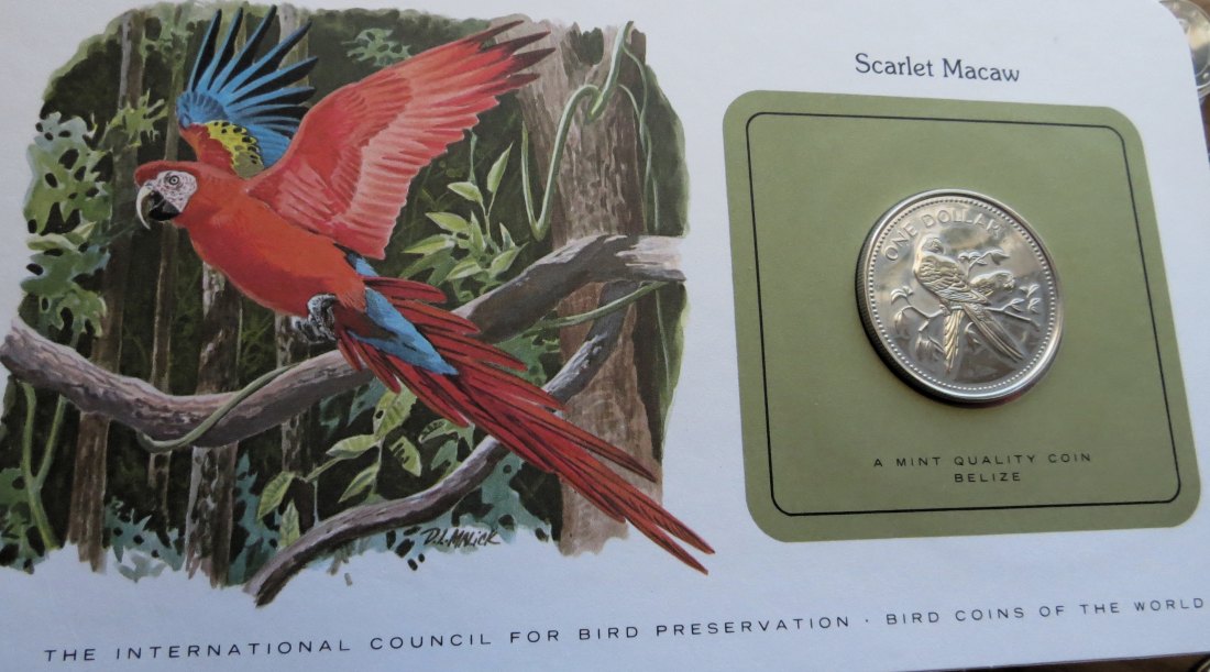  Belize 1 $ 1980 bird UNC card km# 43 - 761 pcs   