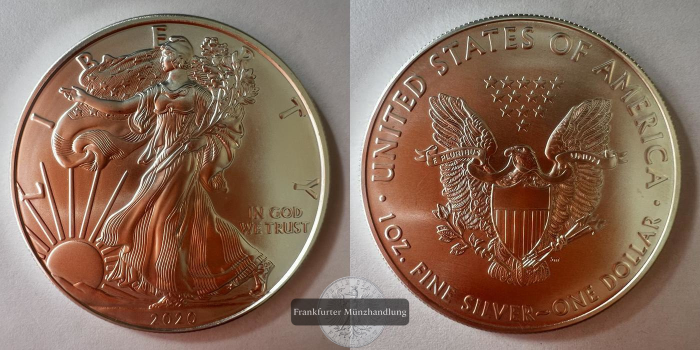 USA 1 Dollar 2020 (Walking Liberty) FM-Frankfurt KM#273 Feinsilber: 31,07g   