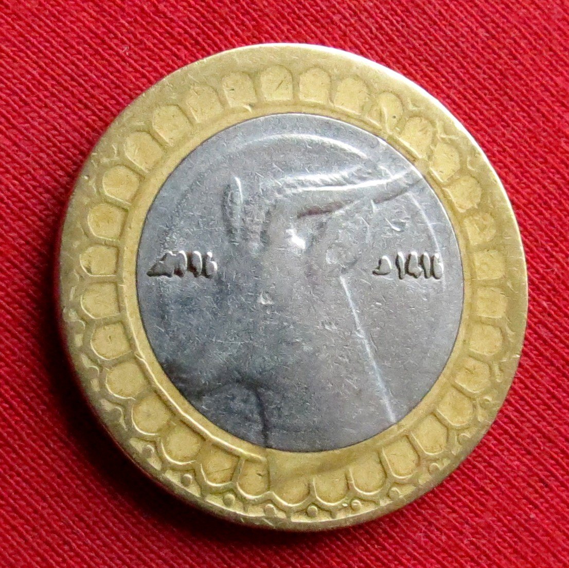  Algeria 50 dinar 1996 #2   
