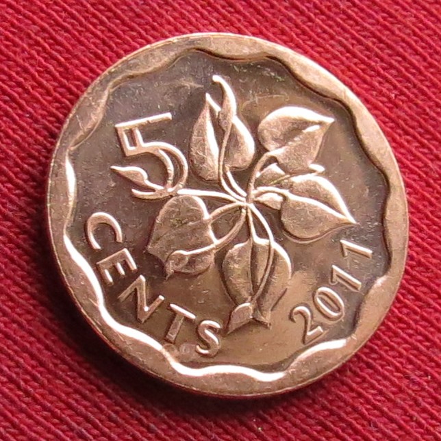  Swaziland 5 cents 2011   