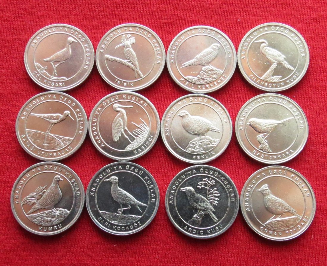 Turkey 12 x 1 Kurus 2020 birds