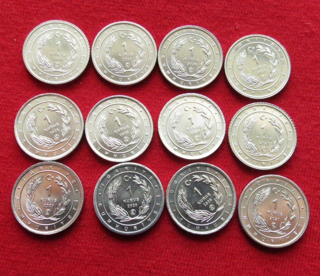  Turkey 12 x 1 Kurus 2020 birds   