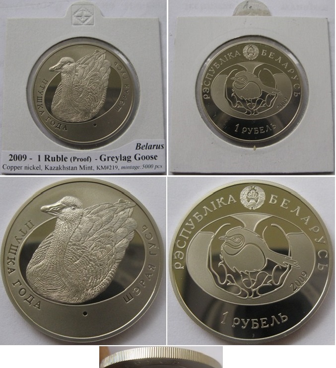  2009, Belarus, 1 Rubel - Graugans, Polierte Platte (Auflage: 5.000)   