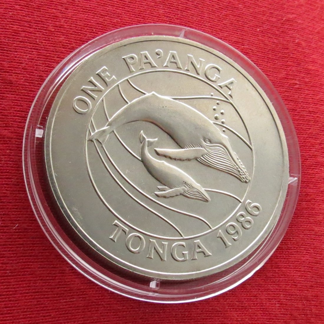 Tonga 1 paanga 1986