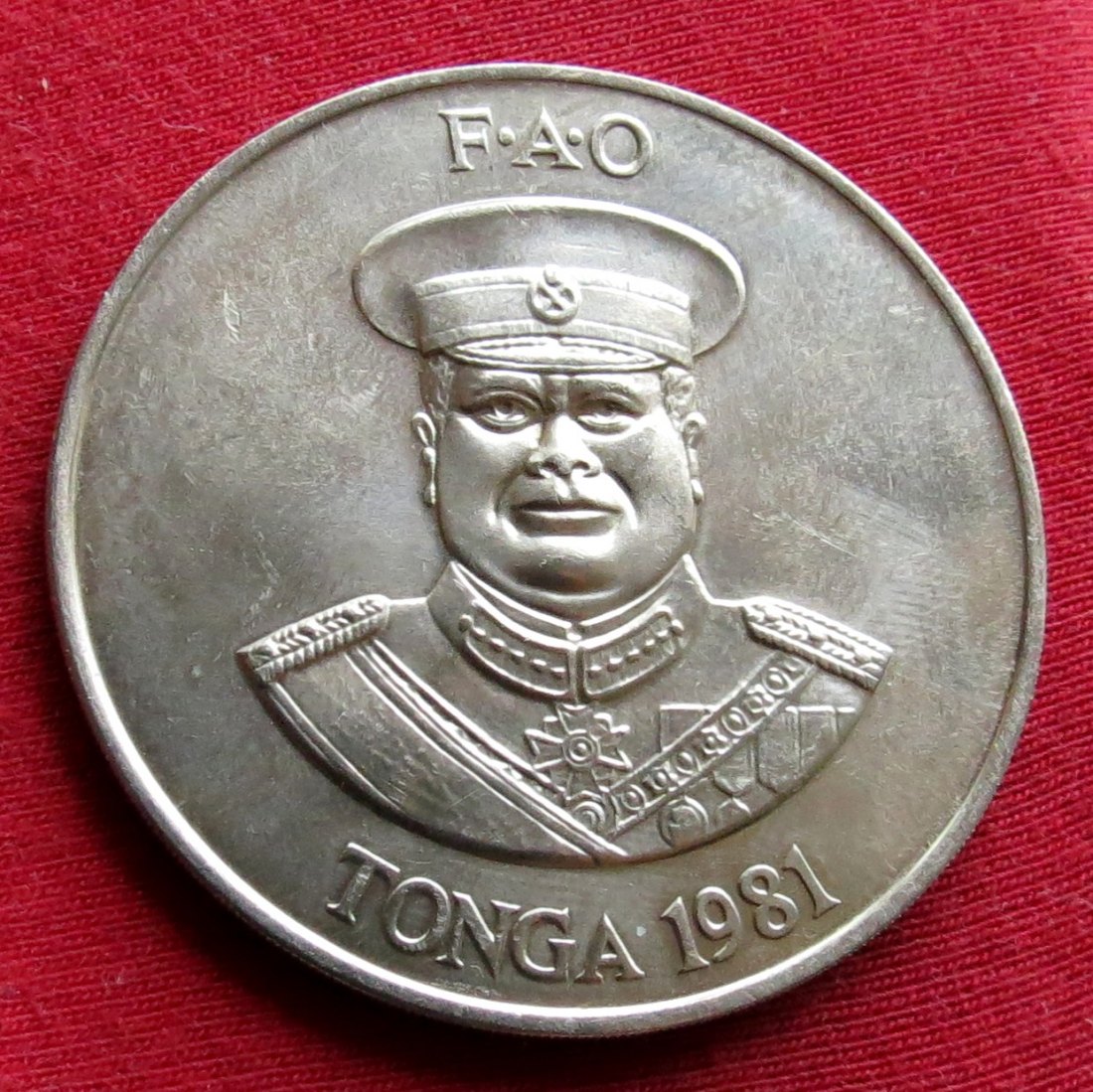  Tonga 2 paanga 1981 FAO   
