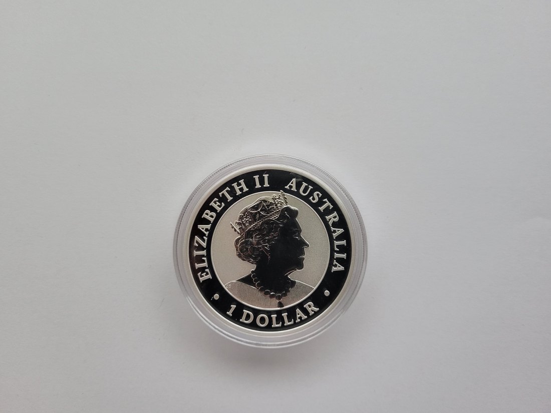  1 Dollar 2023 Kookaburra 1 Oz Silbermünze 9999 Australien Spittalgold9800 (5455   