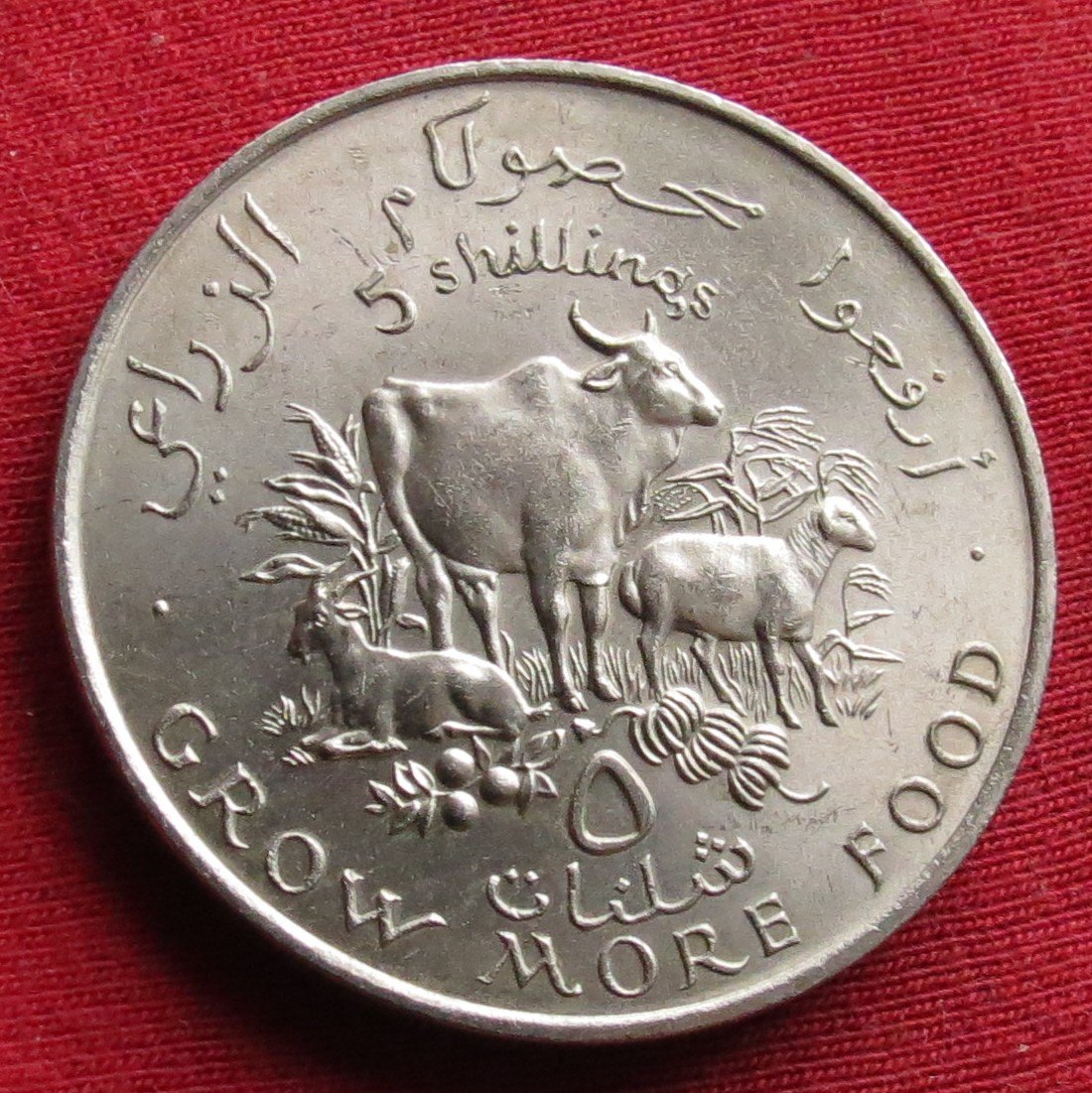 Somalia 5 shilling 1970 FAO