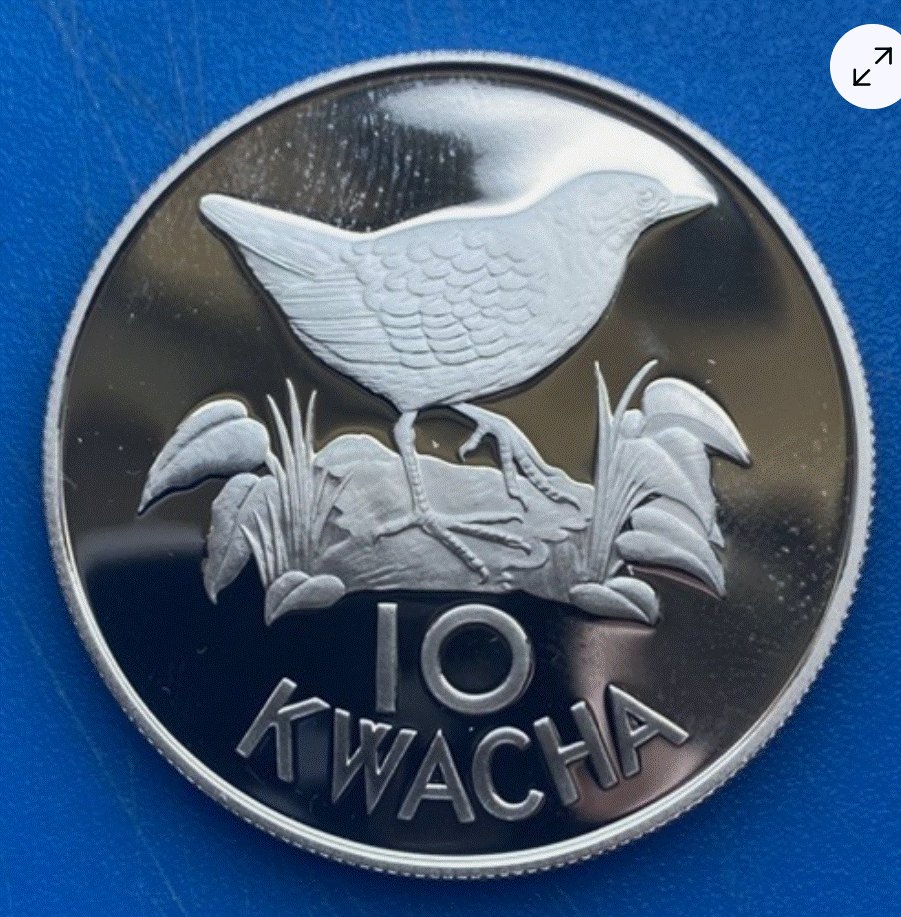  SILBER - 10 Kwacha 1986 WWF Sambia - Sterling 925er   