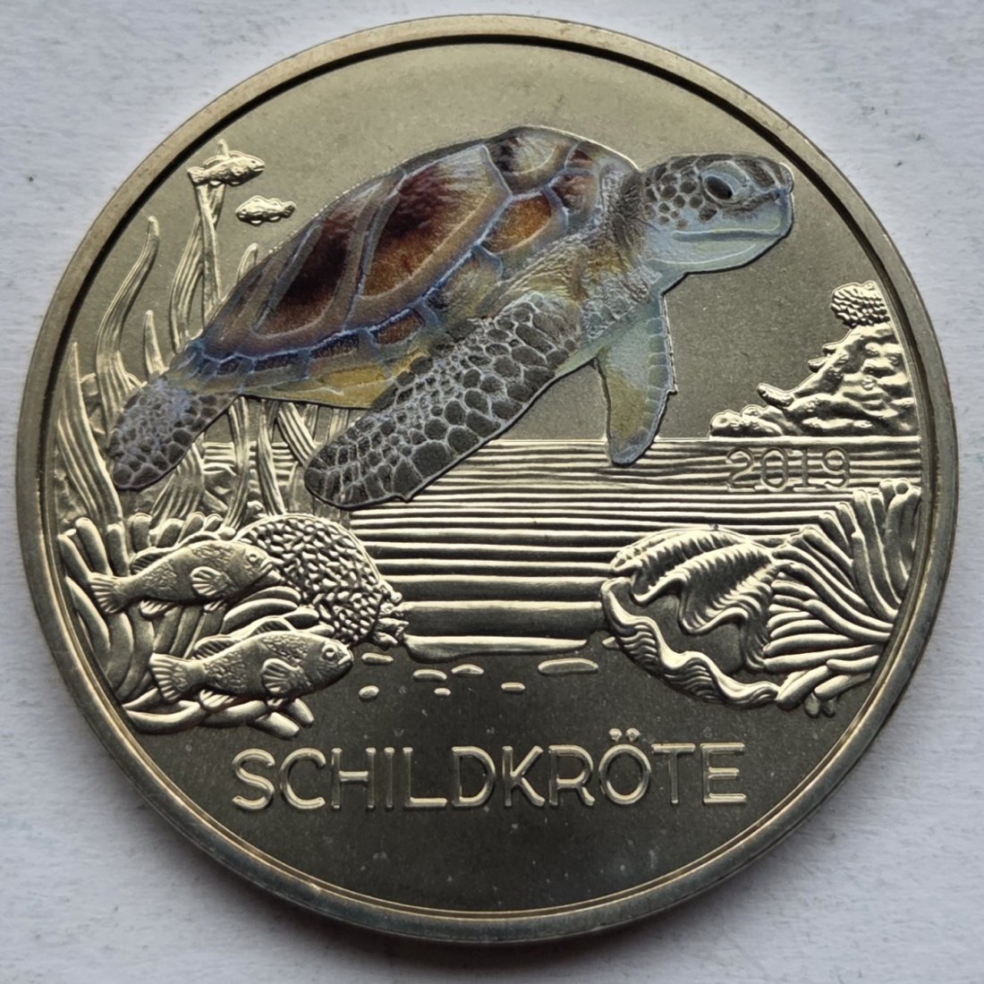  Österreich: 3 Euro Schildkröte 2019   