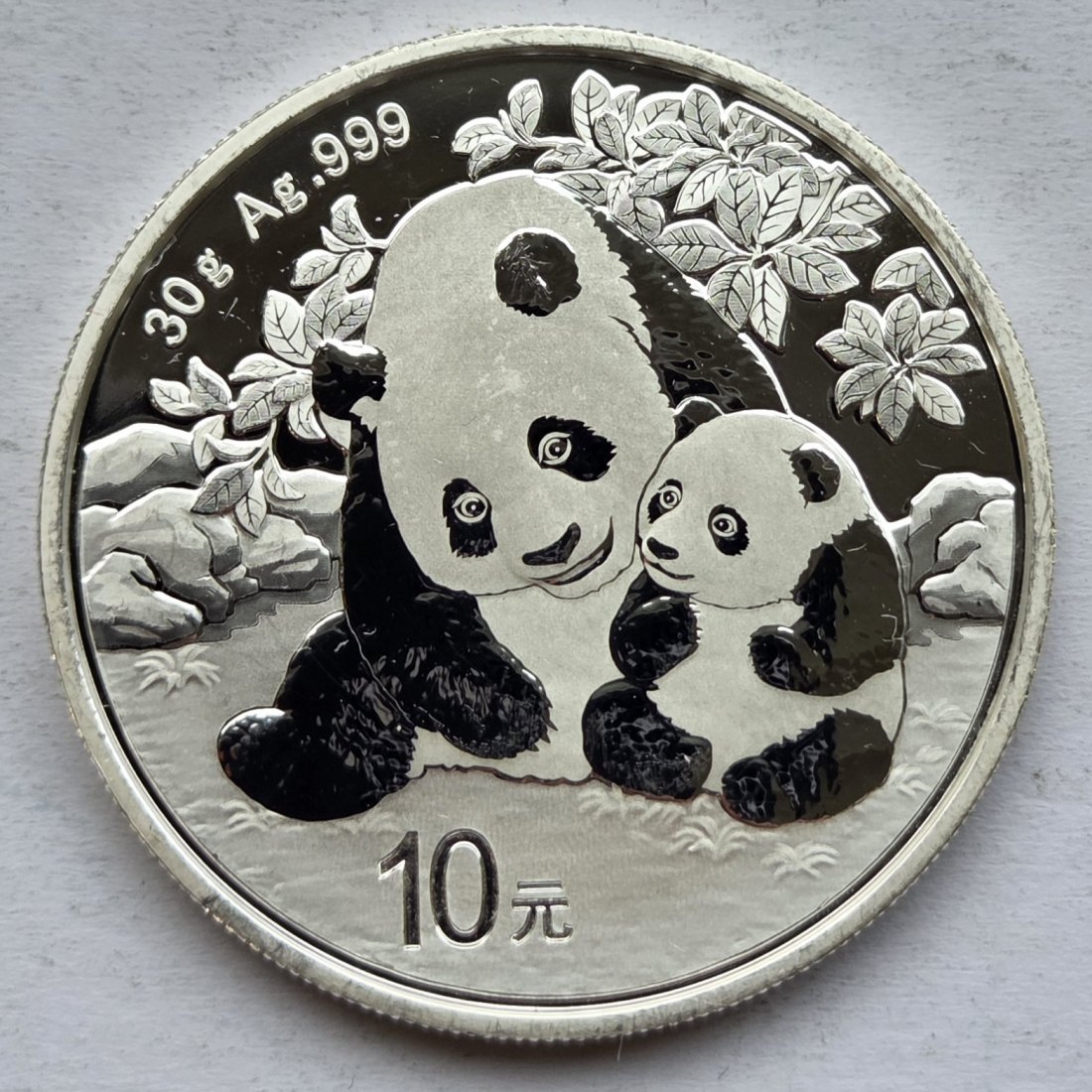  China: Panda 2024, 30 g Feinsilber   