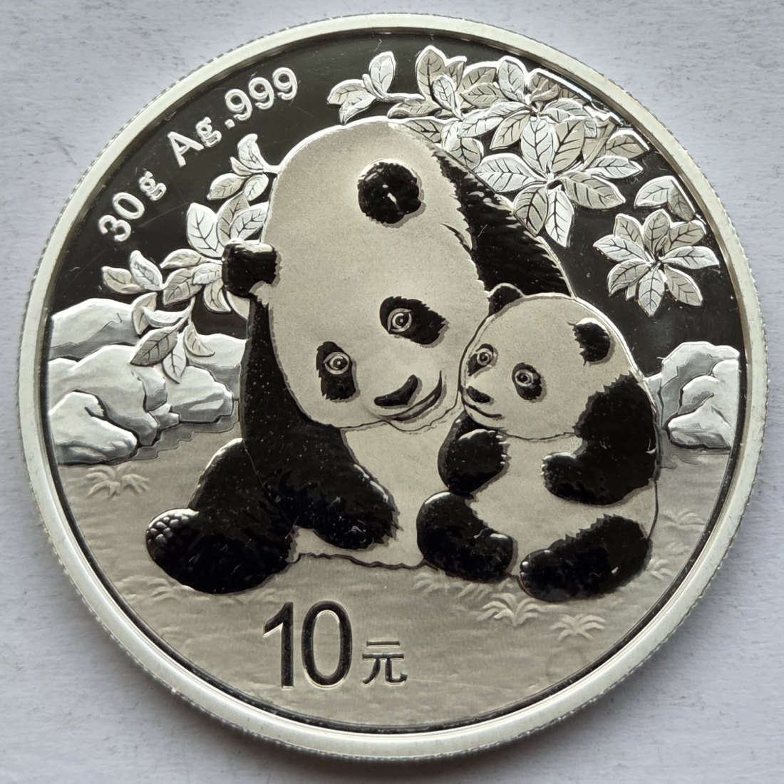 China: Panda 2024, 30 g Feinsilber, koloriert   