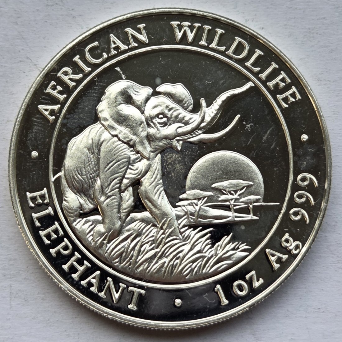  Somalia: Silberunze Elefant 2009   