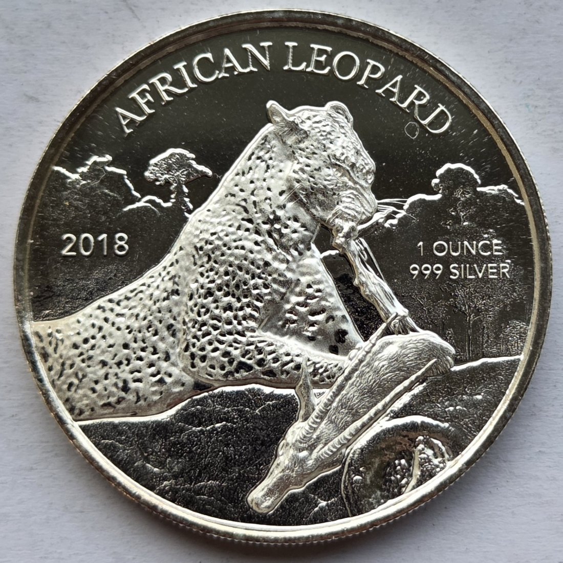  Ghana: Silberunze Leopard 2018   