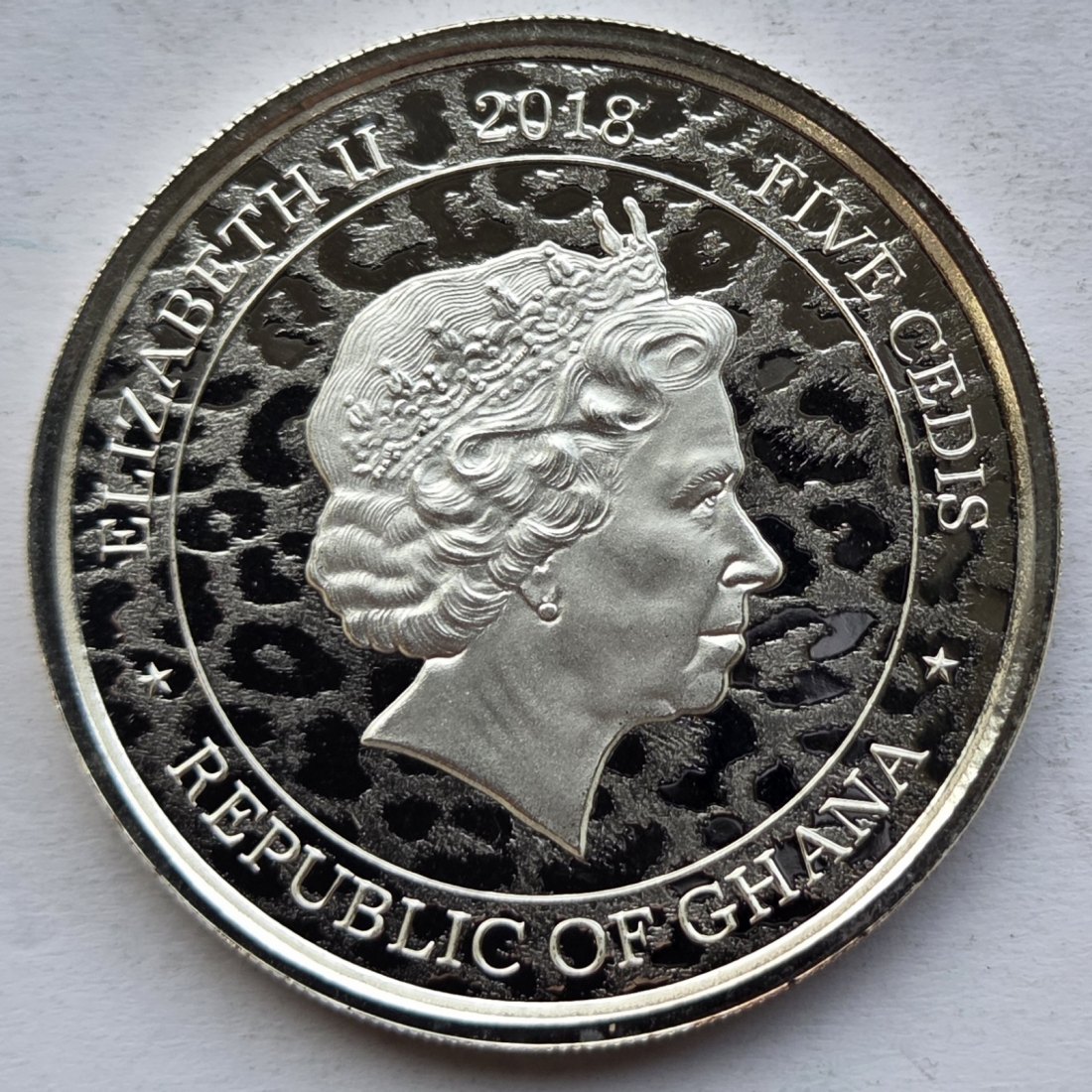  Ghana: Silberunze Leopard 2018   